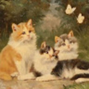 Meet your Posher, Julia